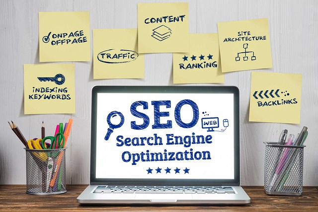 Expertos en SEO